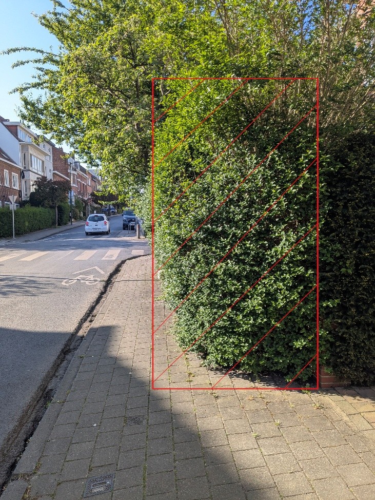 Haie_Trottoir_site.jpg Haie_Trottoir_site.jpg